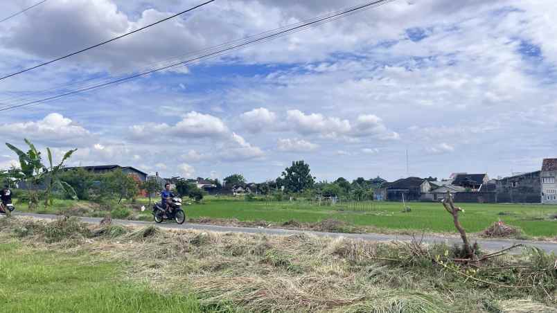 tanah jambon trihanggo dijual murah tepi aspal