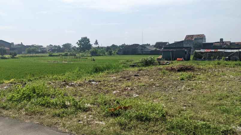 tanah jambon trihanggo dijual murah tepi aspal