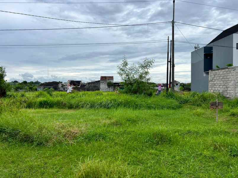 tanah jambon trihanggo dijual murah tepi aspal