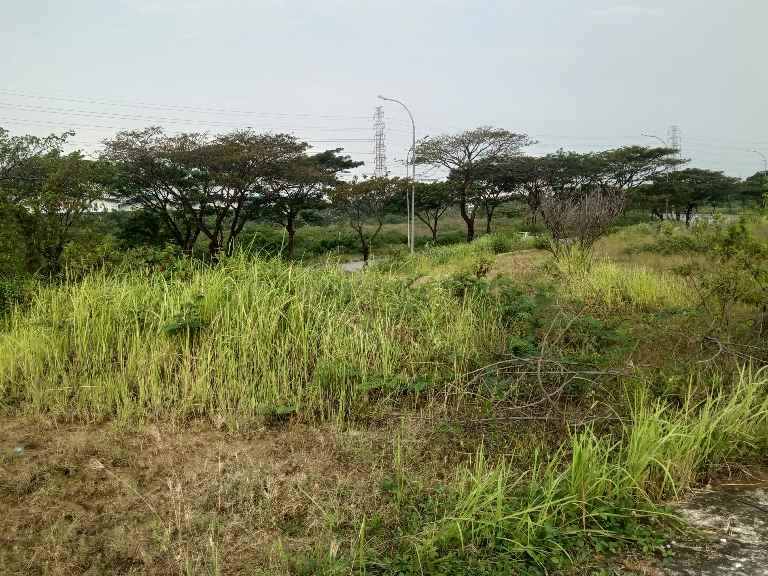 tanah jl kenari raya delta