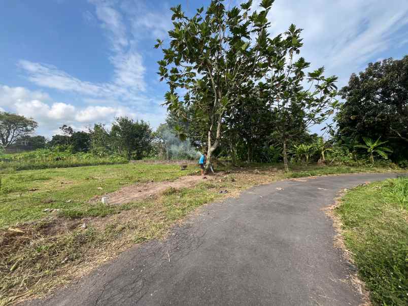 tanah jogja dekat pasar rejodani di palagan