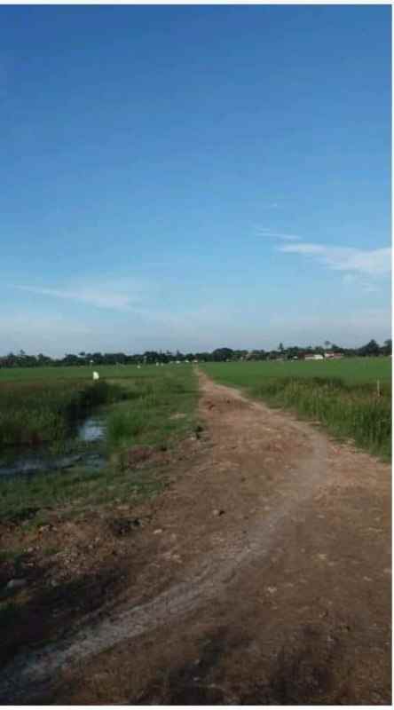 tanah kamojing cikampek