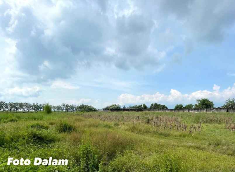 tanah kavling murah nol jalan raya trowulan mojokerto