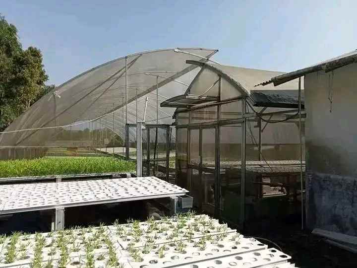 tanah kebun hidroponik investasi kebun sayuran bogor