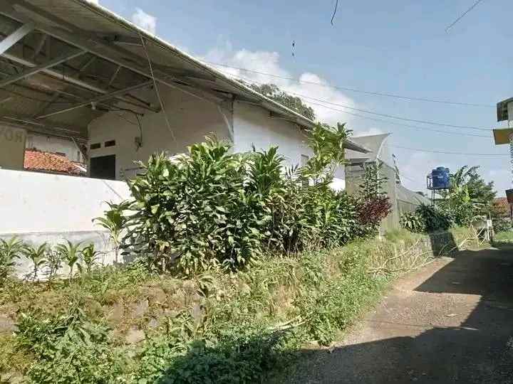 tanah kebun hidroponik investasi kebun sayuran bogor