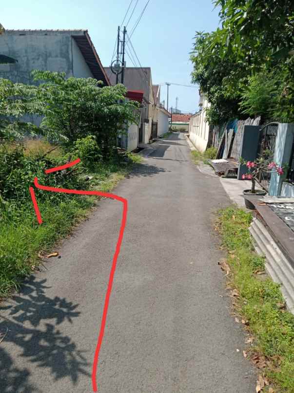 tanah kebun padat dan rata