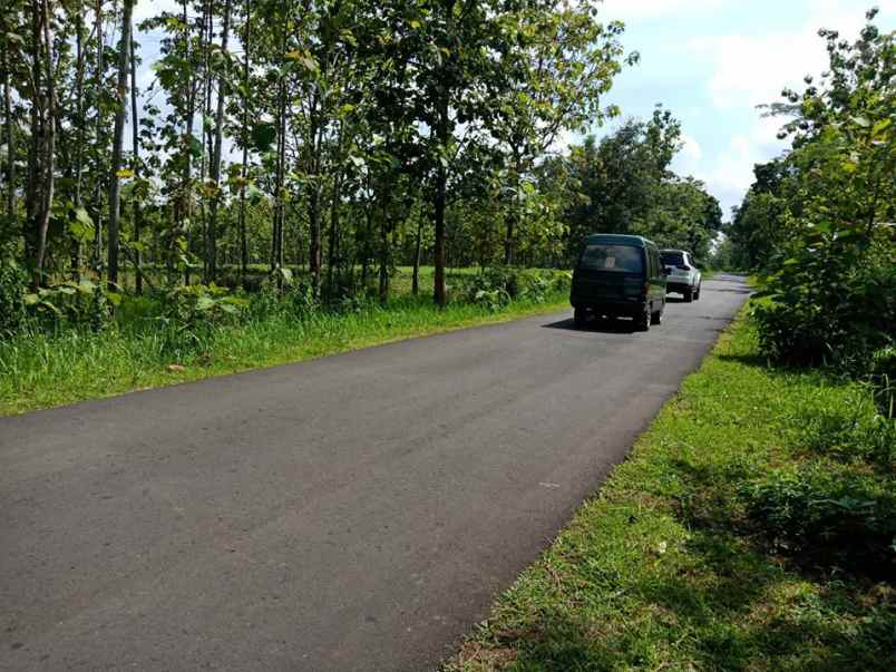 tanah kerjo karanganyar