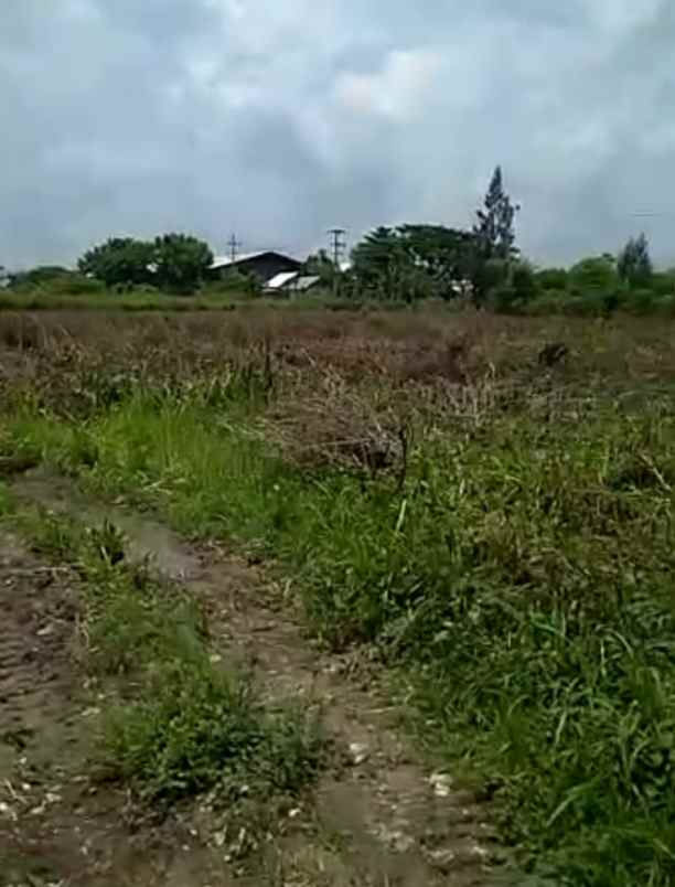 tanah lokasi widang tuban cocok untuk industri