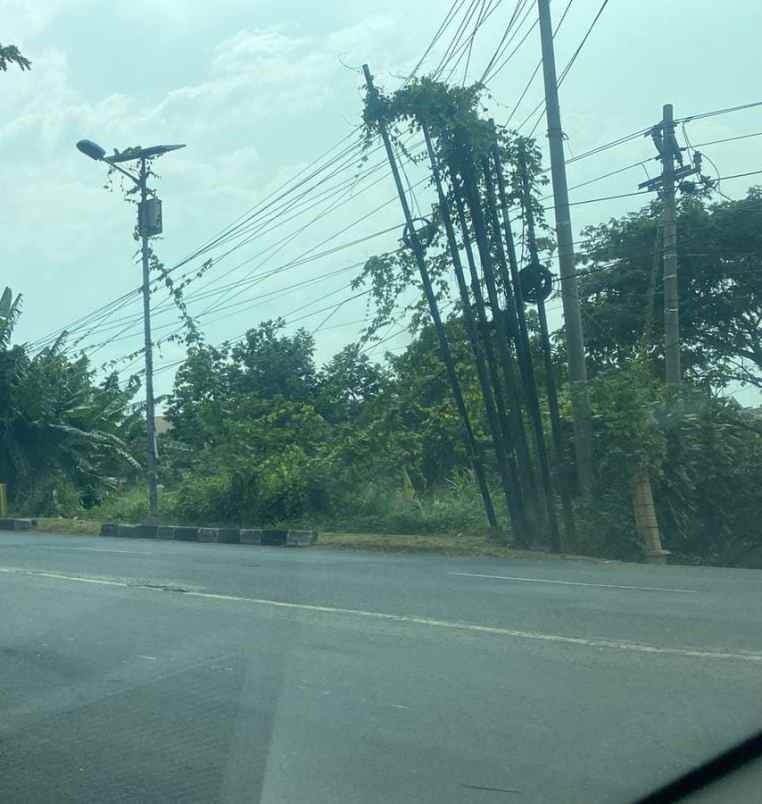 tanah luas jual murah di ngaliyan semarang