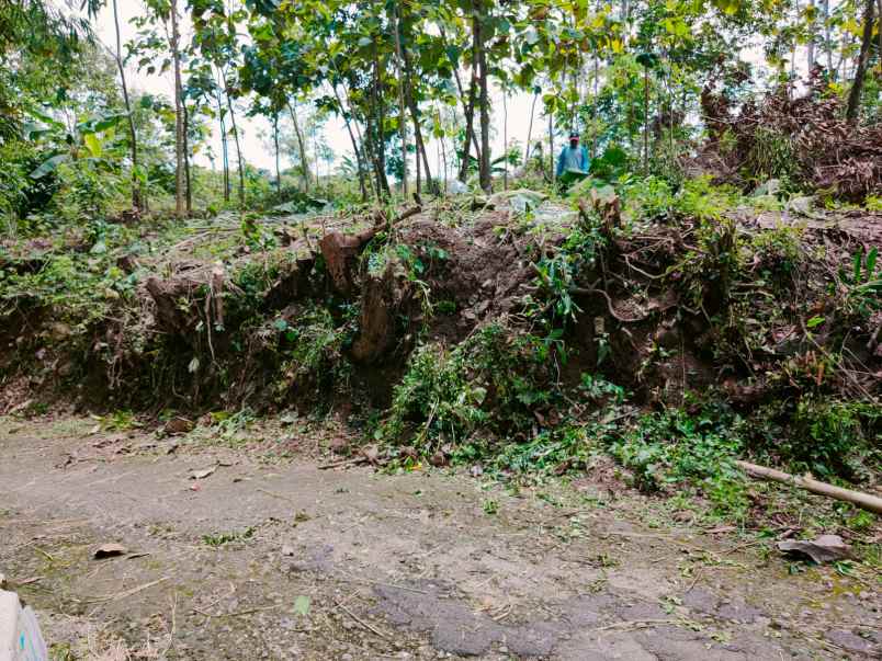 tanah mojogedang karanganyar