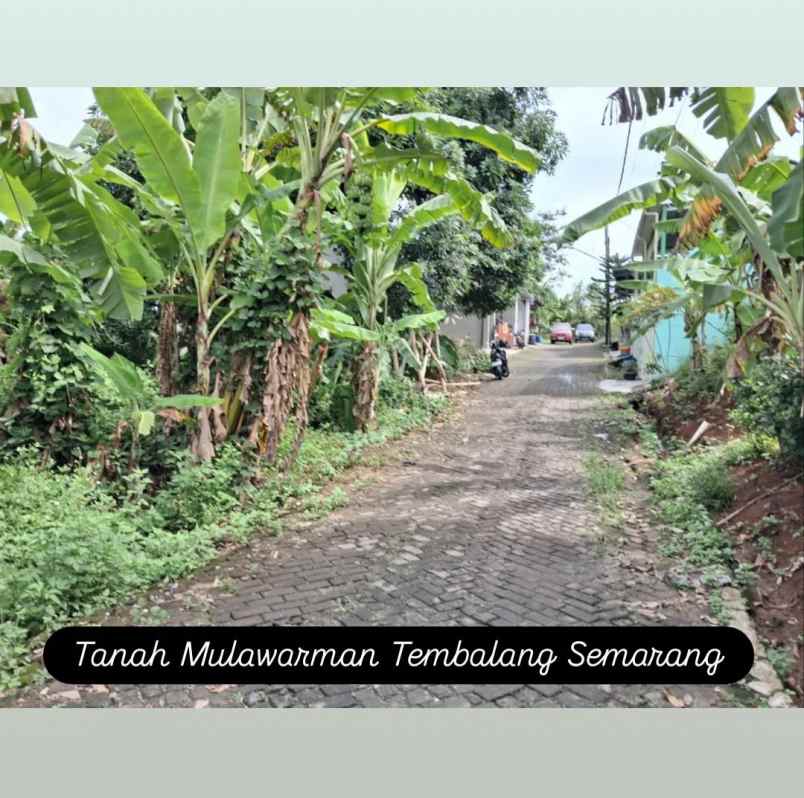 tanah mulawarman tembalang semarang