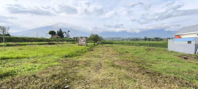 tanah pacet murah lokasi strategis tanpa bunga