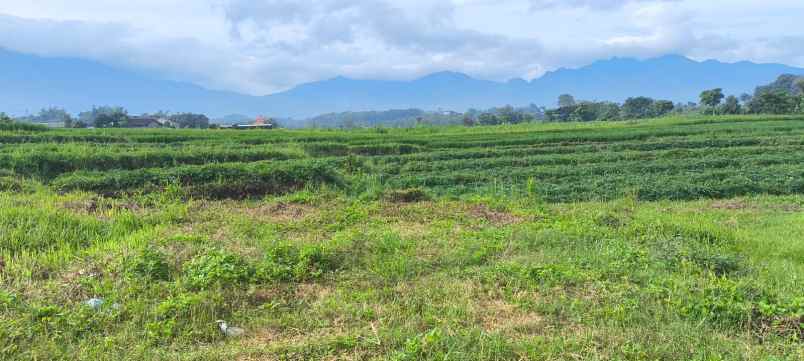 tanah pacet murah lokasi strategis tanpa bunga