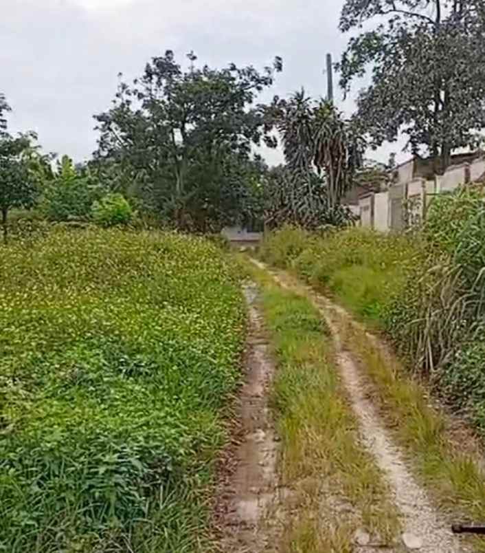 tanah padat murah di legok tangerang banten