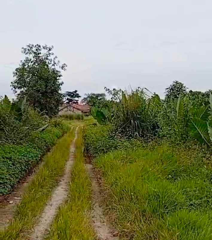 tanah padat murah di legok tangerang banten