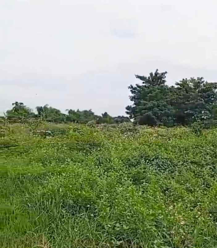 tanah padat murah di legok tangerang banten