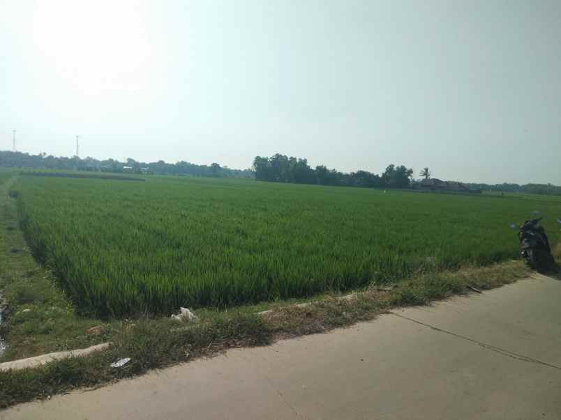 tanah parakanmulya tirtamulya