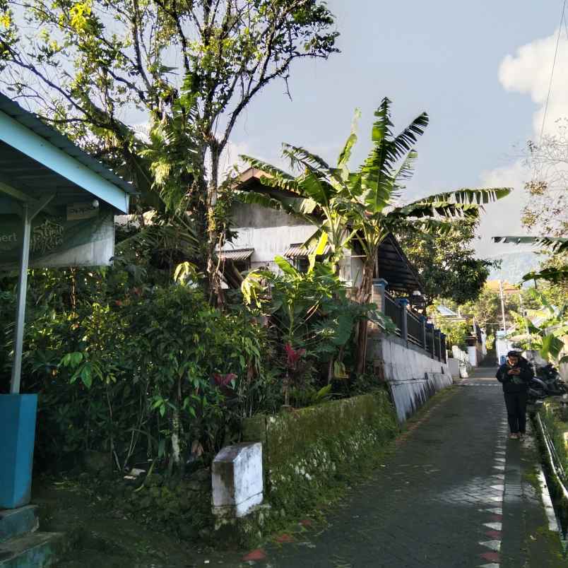 tanah pekarangan desa kesiman trawas