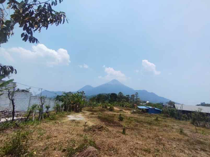 tanah pekarangan trawas depan caf suwon camp