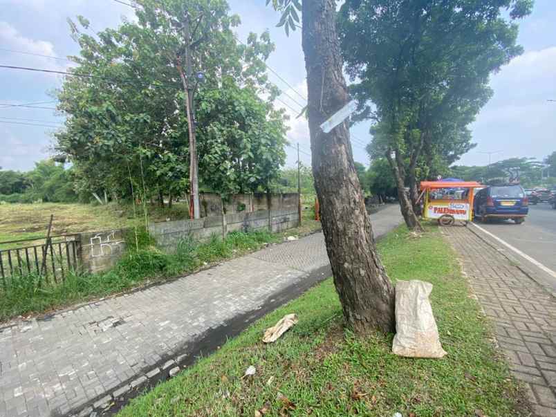 tanah rawa buntu serpong