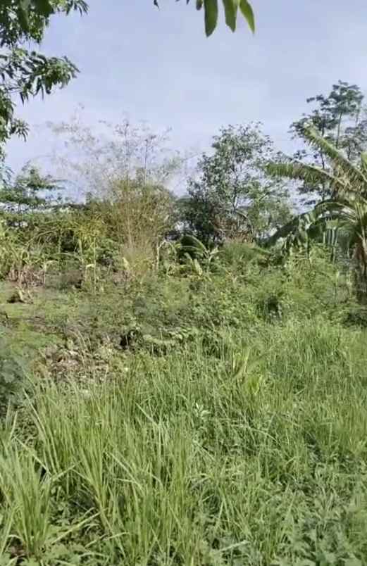 tanah setrategis murah d kota