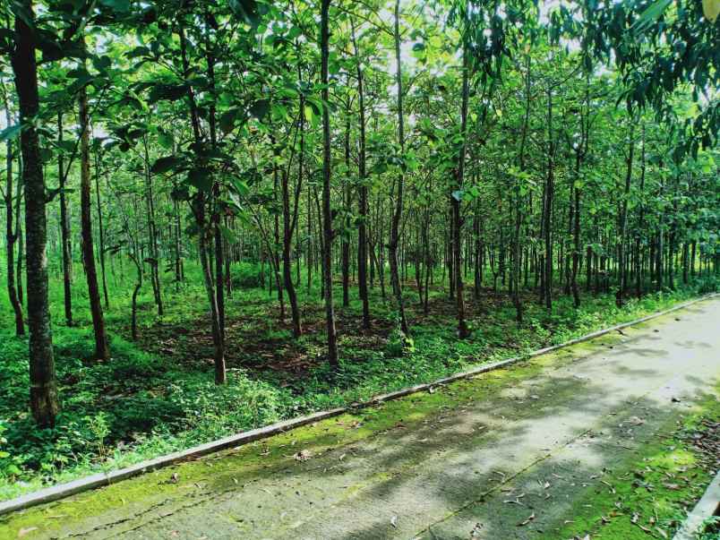 tanah utara kantor kecamatan