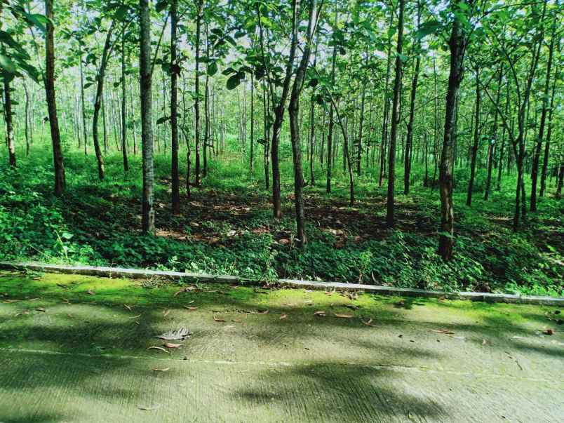 tanah utara kantor kecamatan