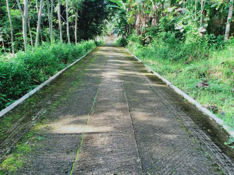 tanah utara kantor kecamatan