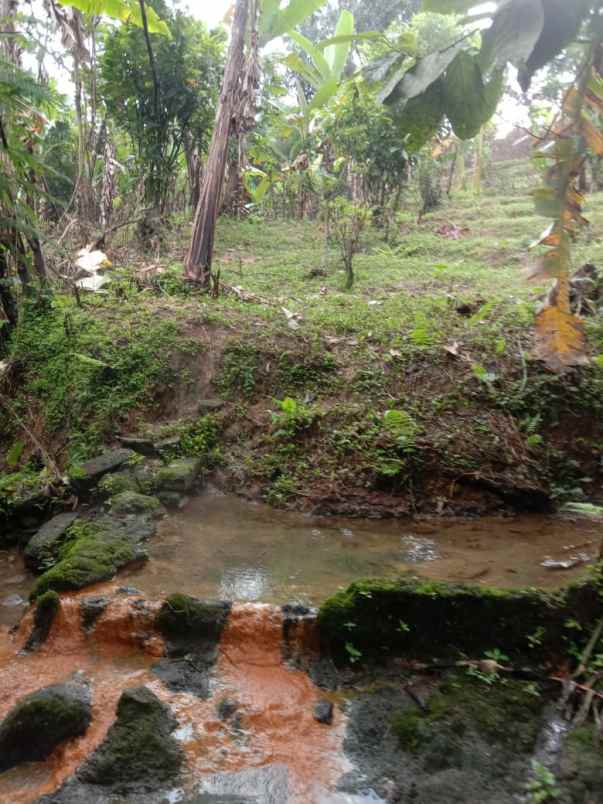 tanah view sawah di lukluk badung 20 menit ke canggu