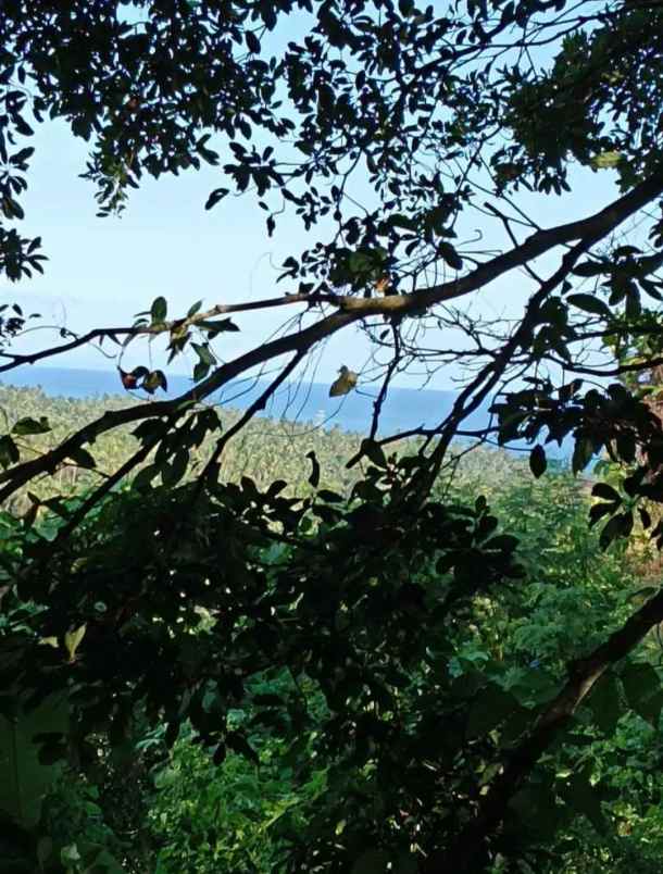 tanah zona kuning dekat pantai selabih tabanan bali