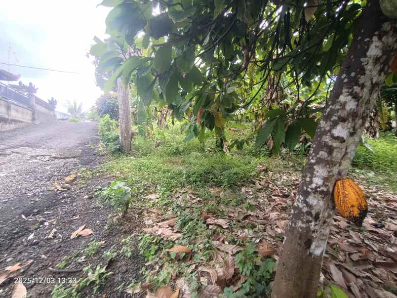 tanah zona kuning dekat pantai selabih tabanan bali