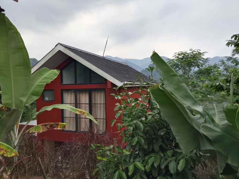 vila kebun alpukat durian subang jawa barat