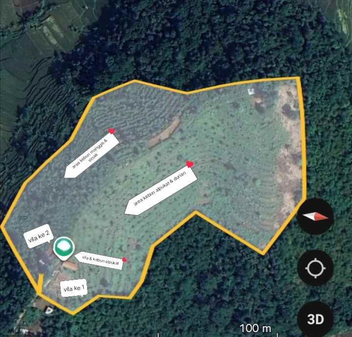 vila kebun alpukat durian subang jawa barat