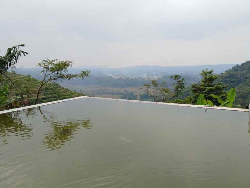 vila kebun alpukat durian subang jawa barat