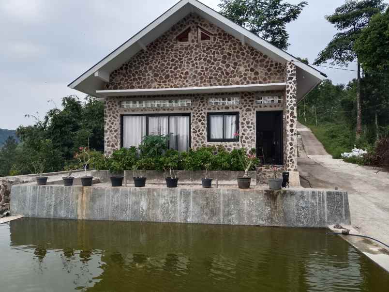 vila kebun alpukat durian subang jawa barat