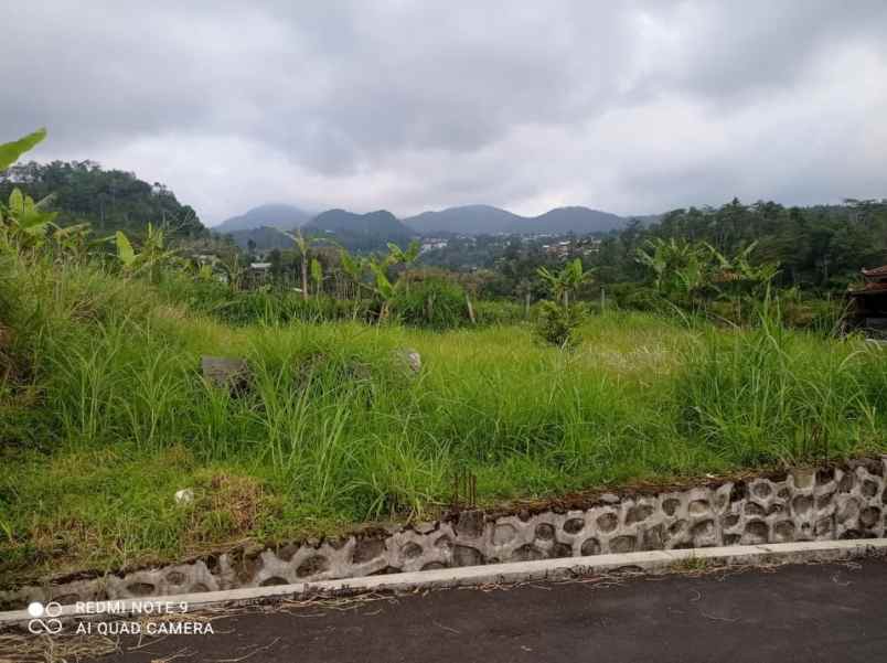 villa kawasan wisata alam