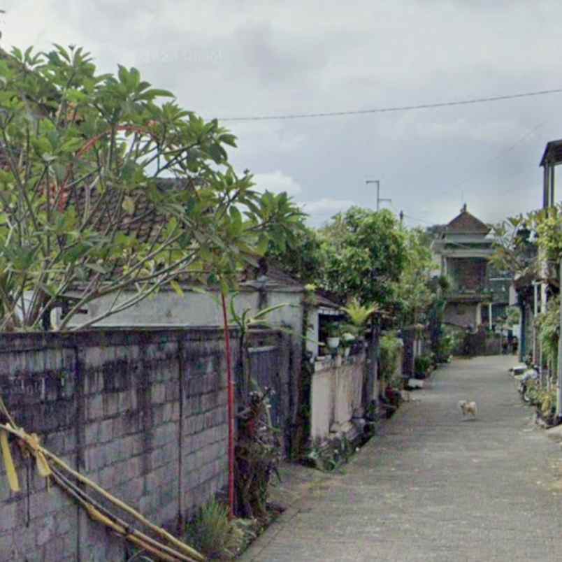 dijual 6 5 are jl siulan penatih dangin puri denpasar