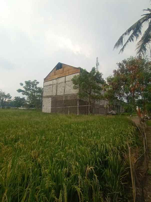 dijual ruko gudang kantor kp sawah kelurahan setia