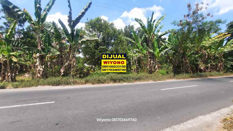 dijual ruko gudang kantor raya suranadi sesaot