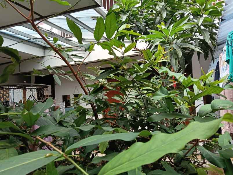 dijual rumah bendungan hilir tanah