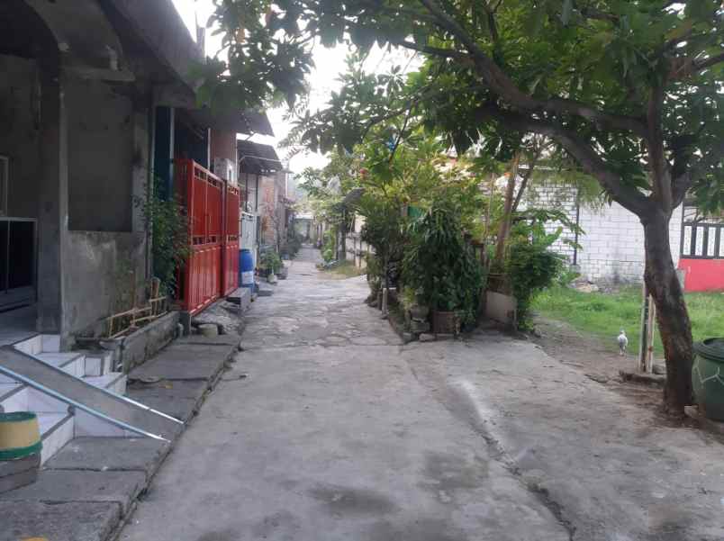 dijual rumah driyorejo shm kbd 450 jt nego alus