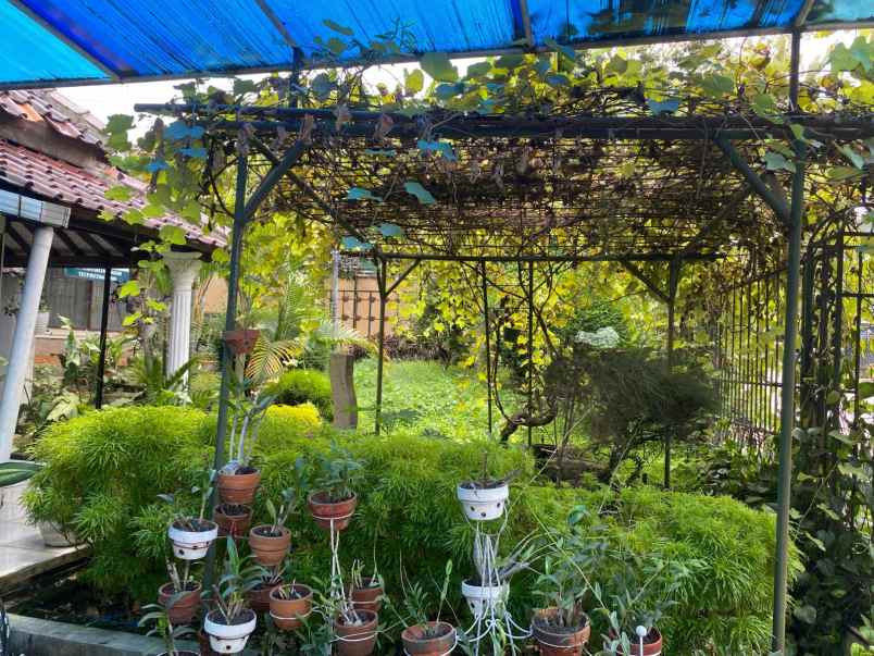 dijual rumah jalan ciawitali