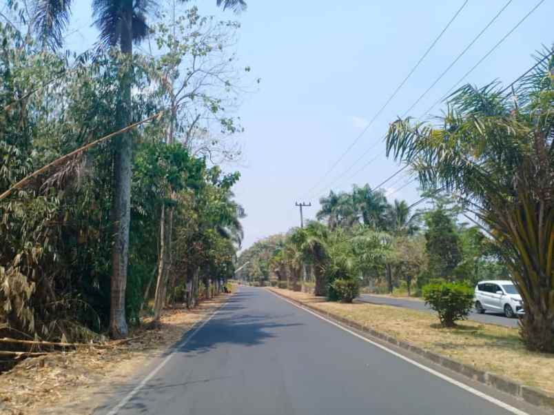 dijual rumah perumahan oma view