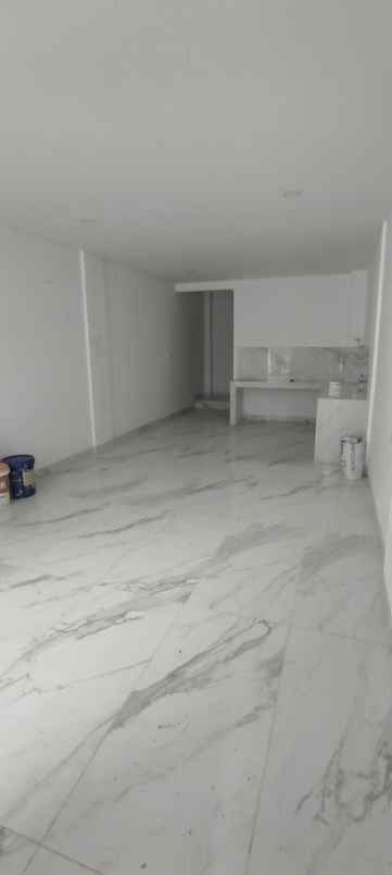 dijual rumah taman palem lestari