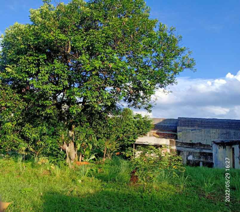 dijual tanah baranangsiang bogor