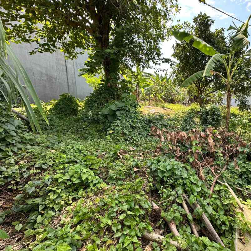 dijual tanah cargo