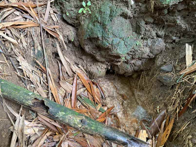 dijual tanah ciampea bogor