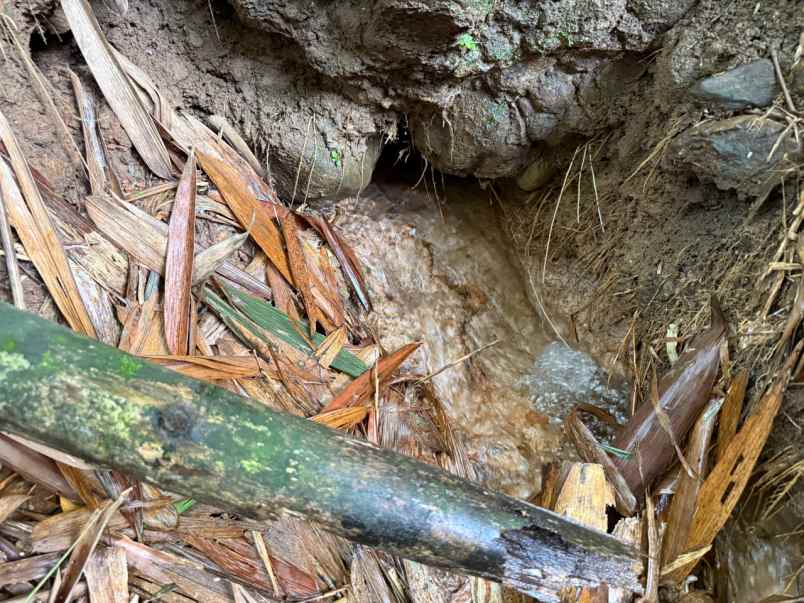 dijual tanah ciampea bogor