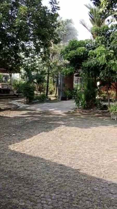 dijual tanah cibubur ciracas