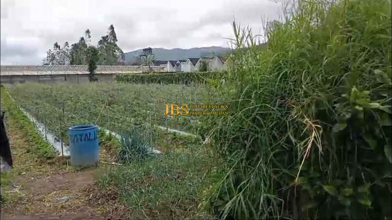 dijual tanah daerah karo jalan kebun bunga dolat rayat